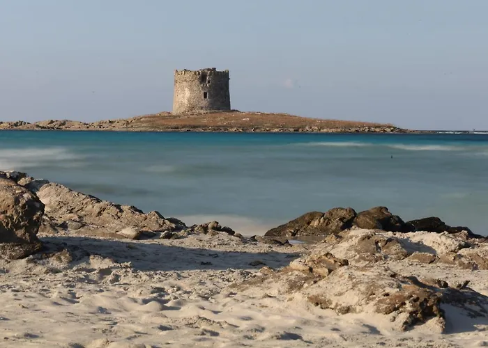 Del Li-lioni Di Teranga