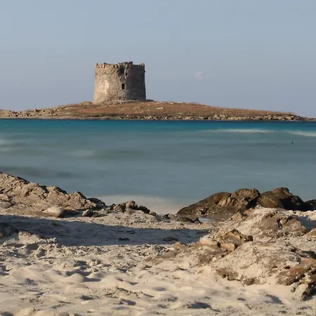 Del Li-lioni Di Teranga